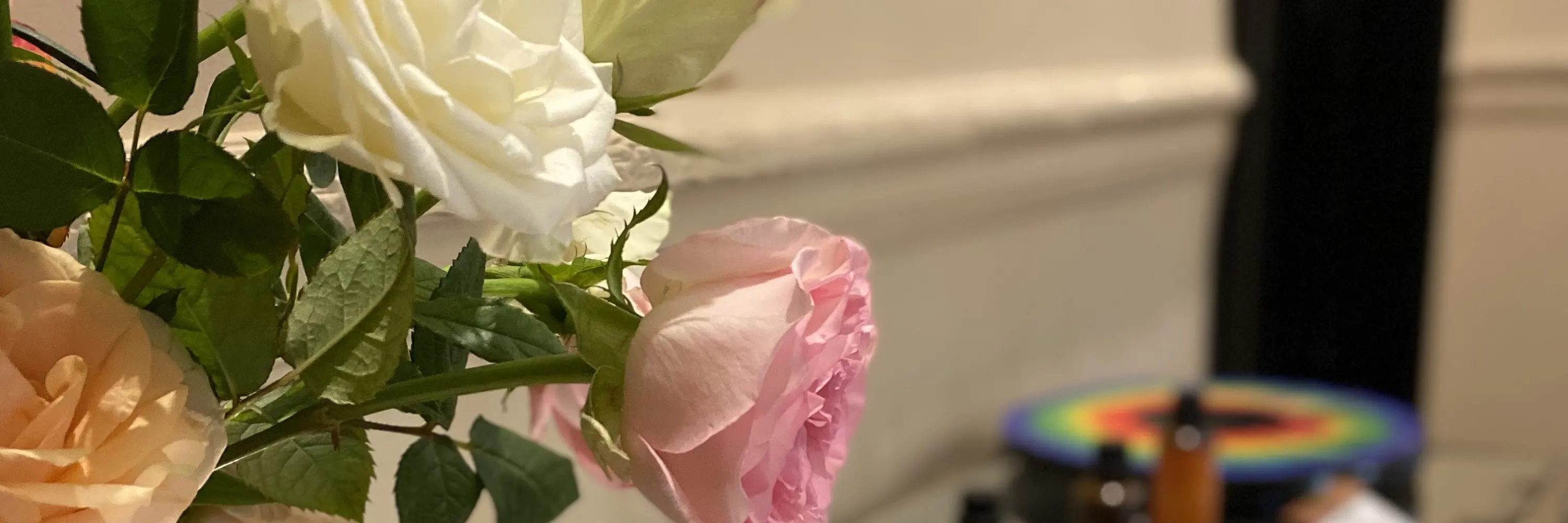 森·自然疗愈空间SPA | 东山口店
